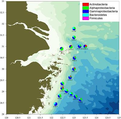 The Diversity and Nitrogen Metabolism of Culturable Nitrate-Utilizing Bacteria Within the Oxygen Minimum Zone of the Changjiang (Yangtze River) Estuary